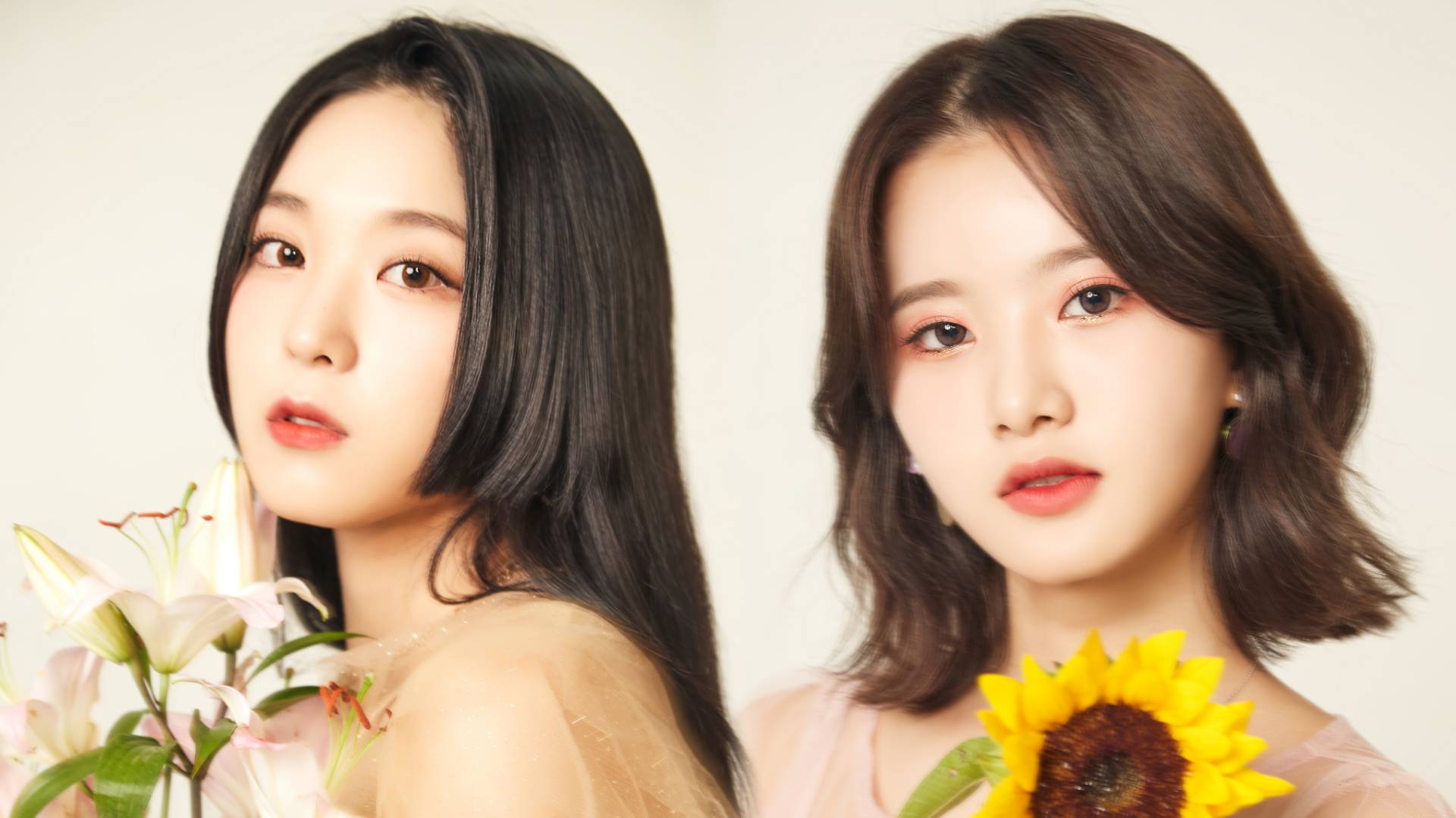 Dajeong y Aeji HashTag